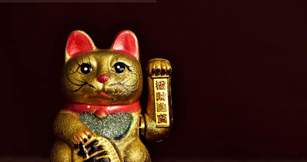 日本的招财猫是哪种猫,猫招财的特征有哪些