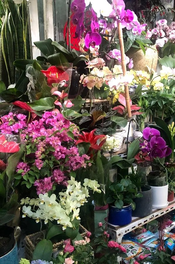 涓婃捣榛勬郸鍖轰竾鍟嗚姳楦熷競鍦鸿繕鍦ㄥ悧,涓婃捣涓囧晢鑺遍笩甯傚満鏂板潃鍦ㄤ粈涔堣矾