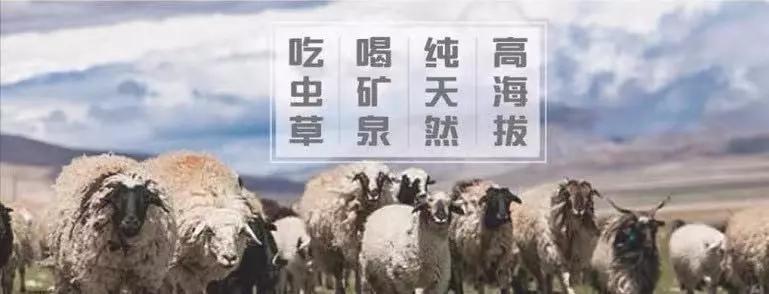 清明上河园里面吃饭,清明上河园年夜饭