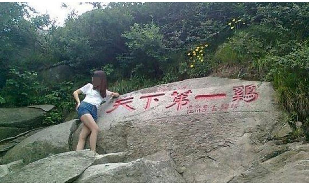 鸡有几种品种和做法,全国鸡的做法有多少种