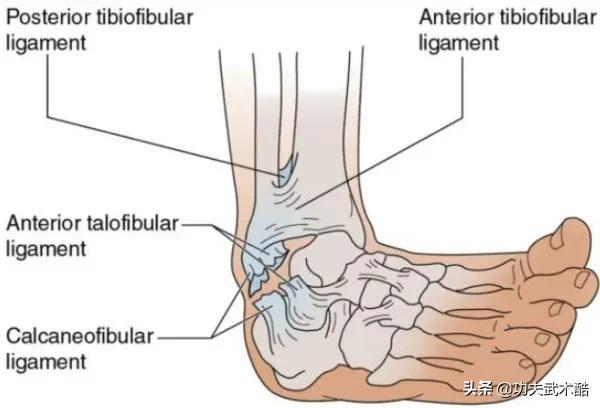 为什么要忽略身体的50%？巴西柔术中的腿锁