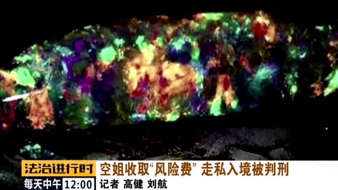 90后空姐裸辞养猪,90后北京空姐