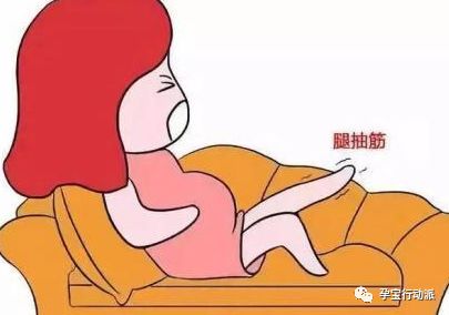 孕期周刊  第二十七周