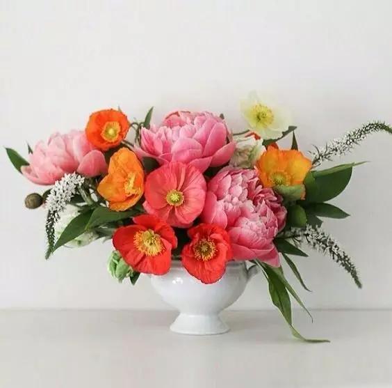 禅意插花技巧新手入门,素雅居家普通插花效果图