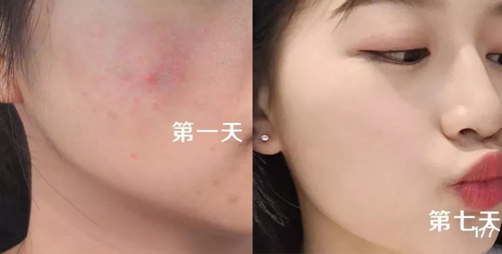 王艳宋丹丹黄晓明古装电视剧,王艳杨紫张铁林