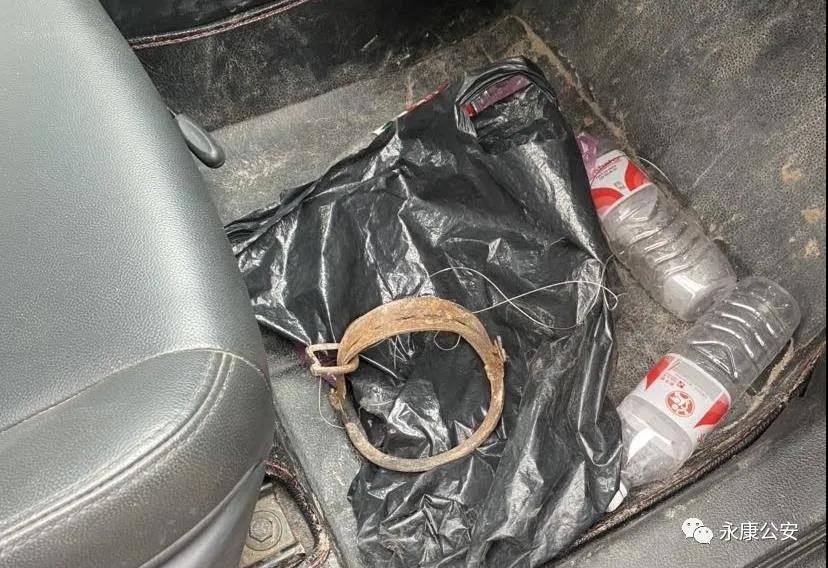 「教育整顿·严打违法犯罪」两男子被野猪夹夹出灵感妄想搞点野味结果被抓