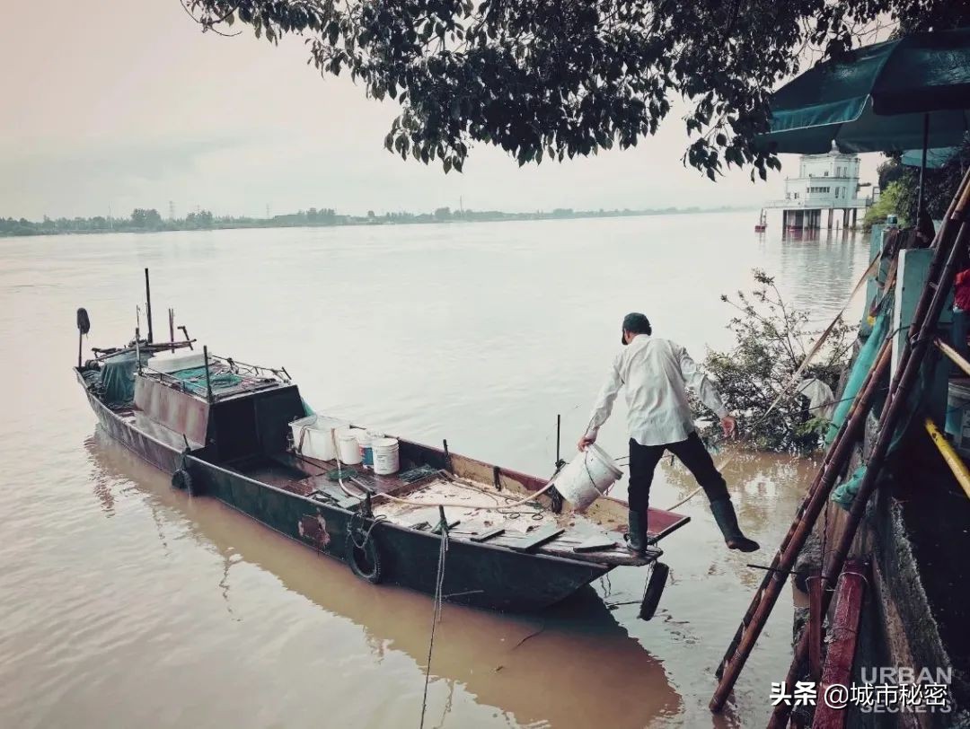 钱塘江鱼市,钱塘江神话传奇故事