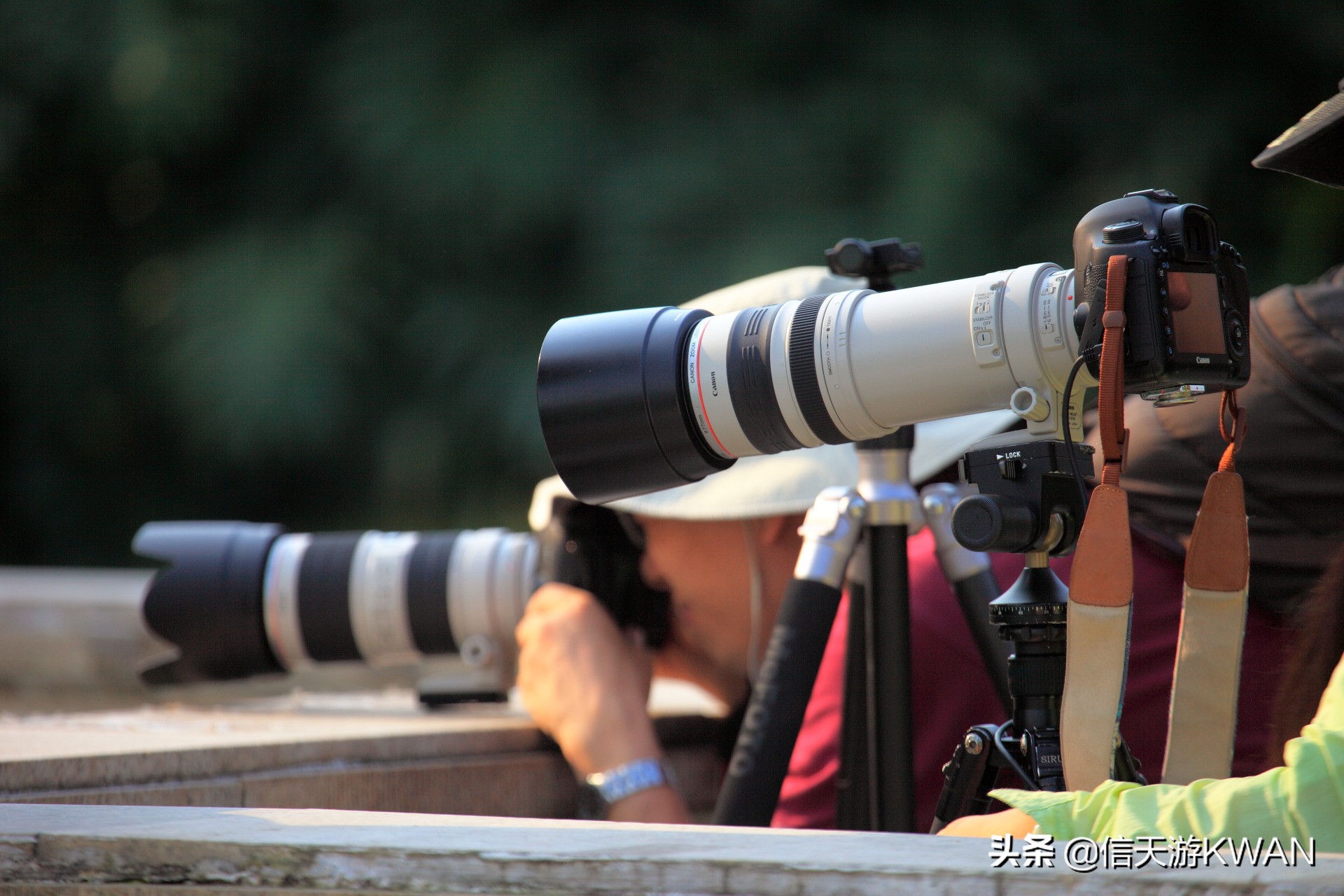 澶忚嚦宸茶嚦鑽疯姳鏅偣 (澶忚嚦宸茶嚦閭ｅ氨蹇樺嵈鐐庣儹鍘昏祻鑺卞惂)