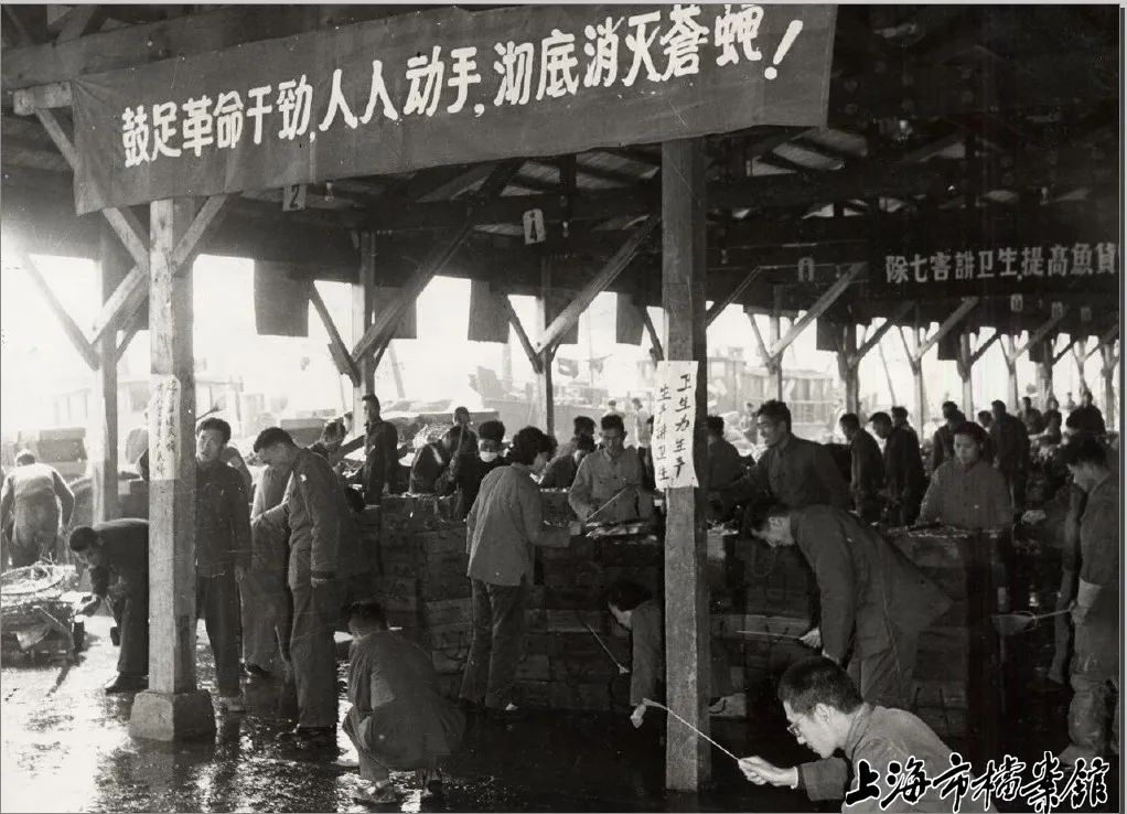 除四害是细菌战吗,以反细菌战为目的的爱国卫生运动