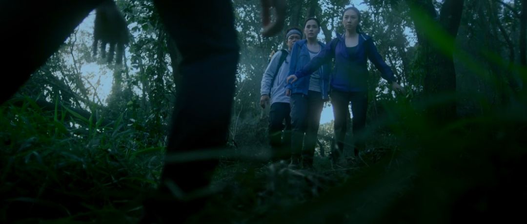 阿娇回乡完整视频,阿娇给自己颜值打80分