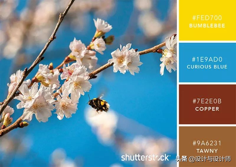 设计色彩总结200字左右,设计配色6种颜色