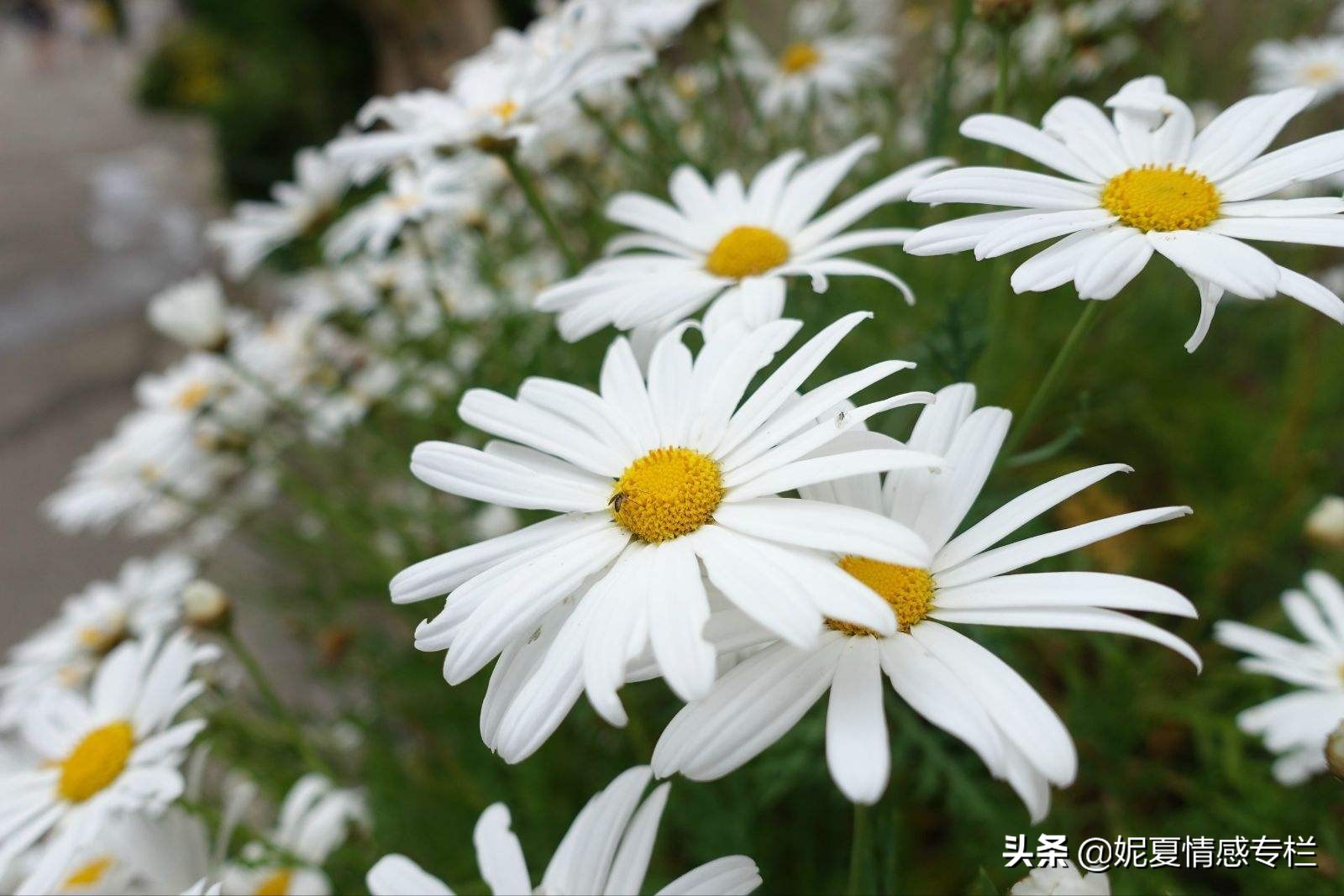 一封丈夫出轨的信,一封关于出轨的信