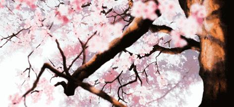 aupres欧珀莱保湿霜,aupres欧珀莱美肌