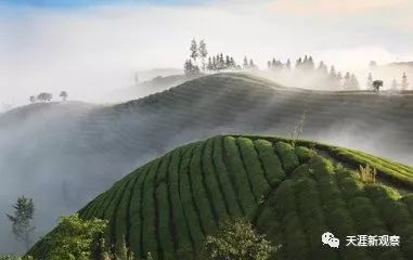 恩施四峡洞在哪里,恩施旅游住哪家酒店好