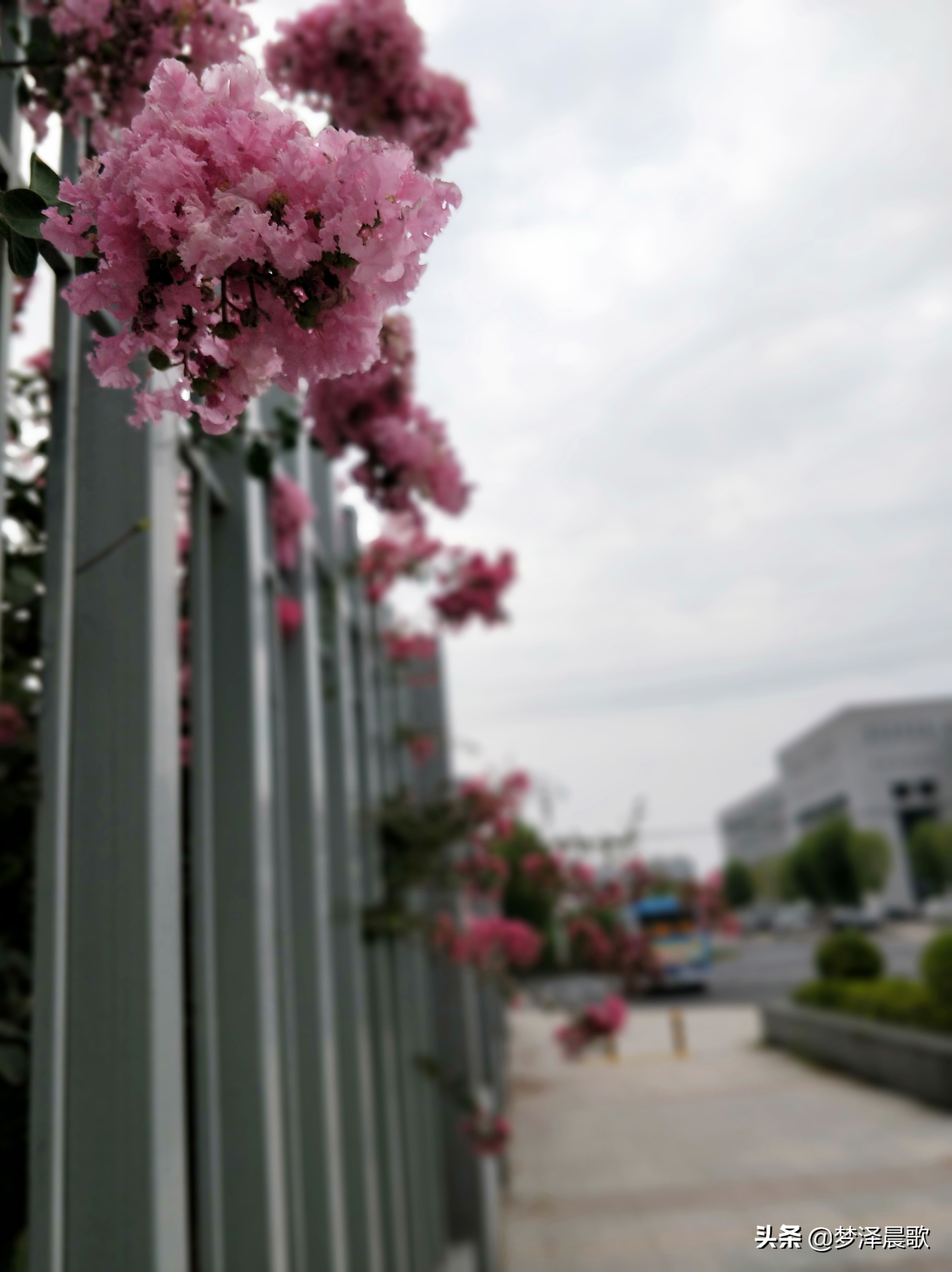 云梦县黄香小学好吗,云梦县黄香小学全貌图