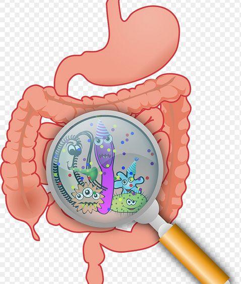 溃疡性结肠炎的发病症状要警惕,溃疡性结肠炎最可能出现的并发症