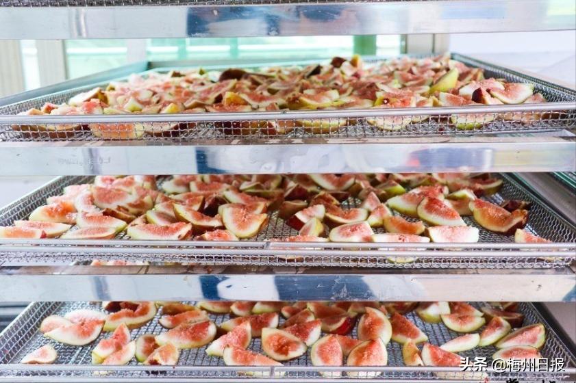 铆足干劲加油干凝心聚力攀新高,铆足劲头加油干奋楫扬帆启新局