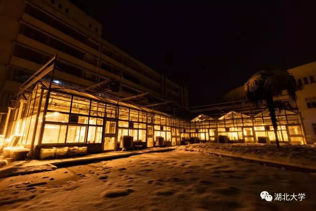 2023年考研报考人数继续飙升,考研关注