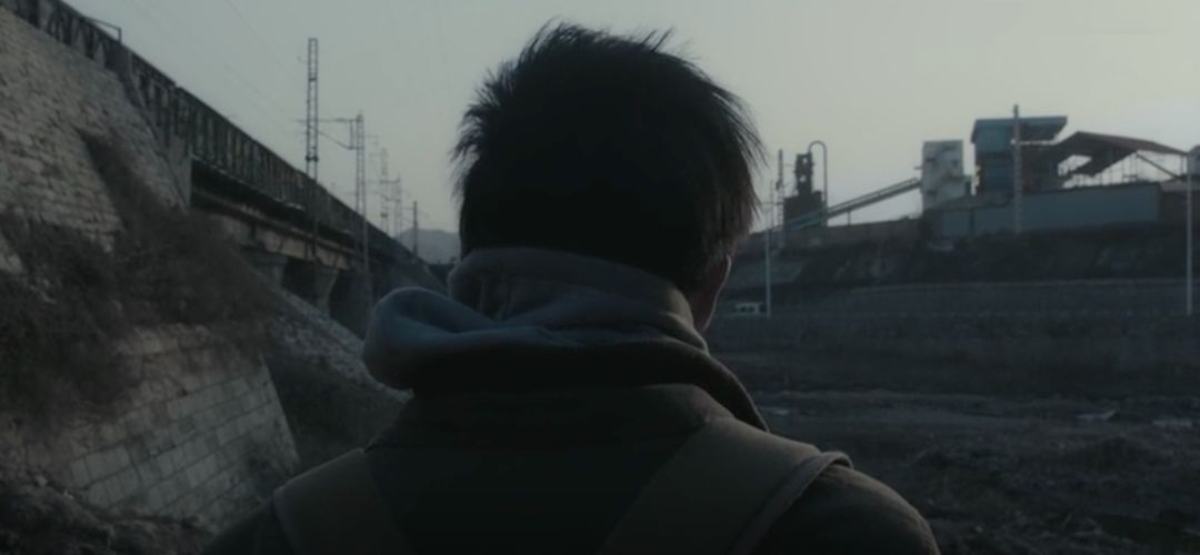 大象席地而坐有人说话,大象席地而坐