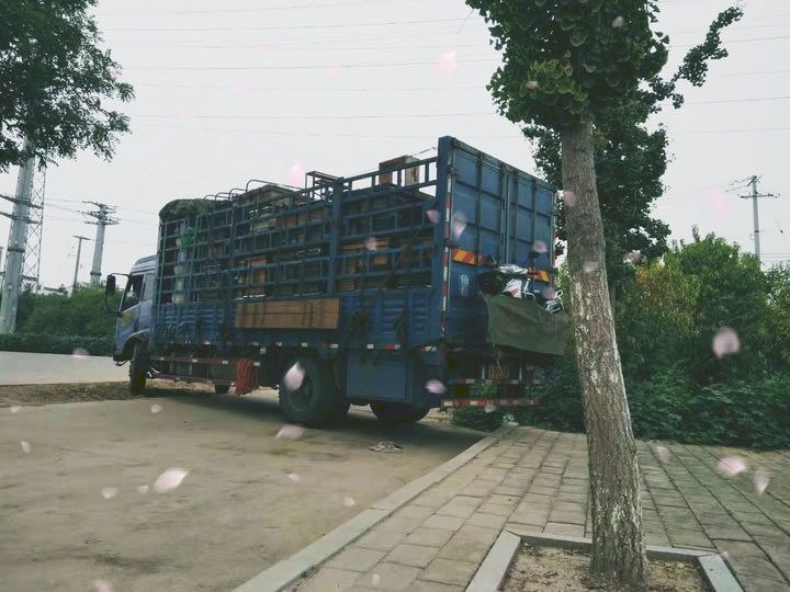 新西兰康维他蜂蜜功效,为什么新西兰的蜂蜜这么贵