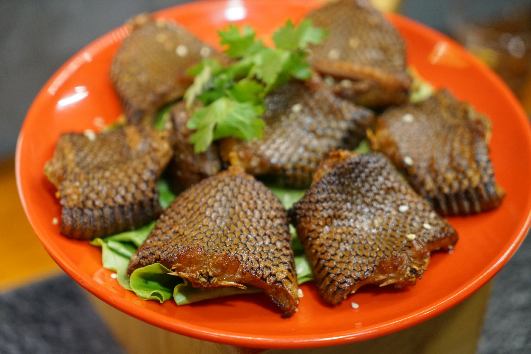 蛇肉有些蛇能吃还是有些蛇不能吃,蛇肉冬虫夏草