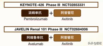 治疗肾细胞癌的新技术,肾肿瘤晚期免疫治疗