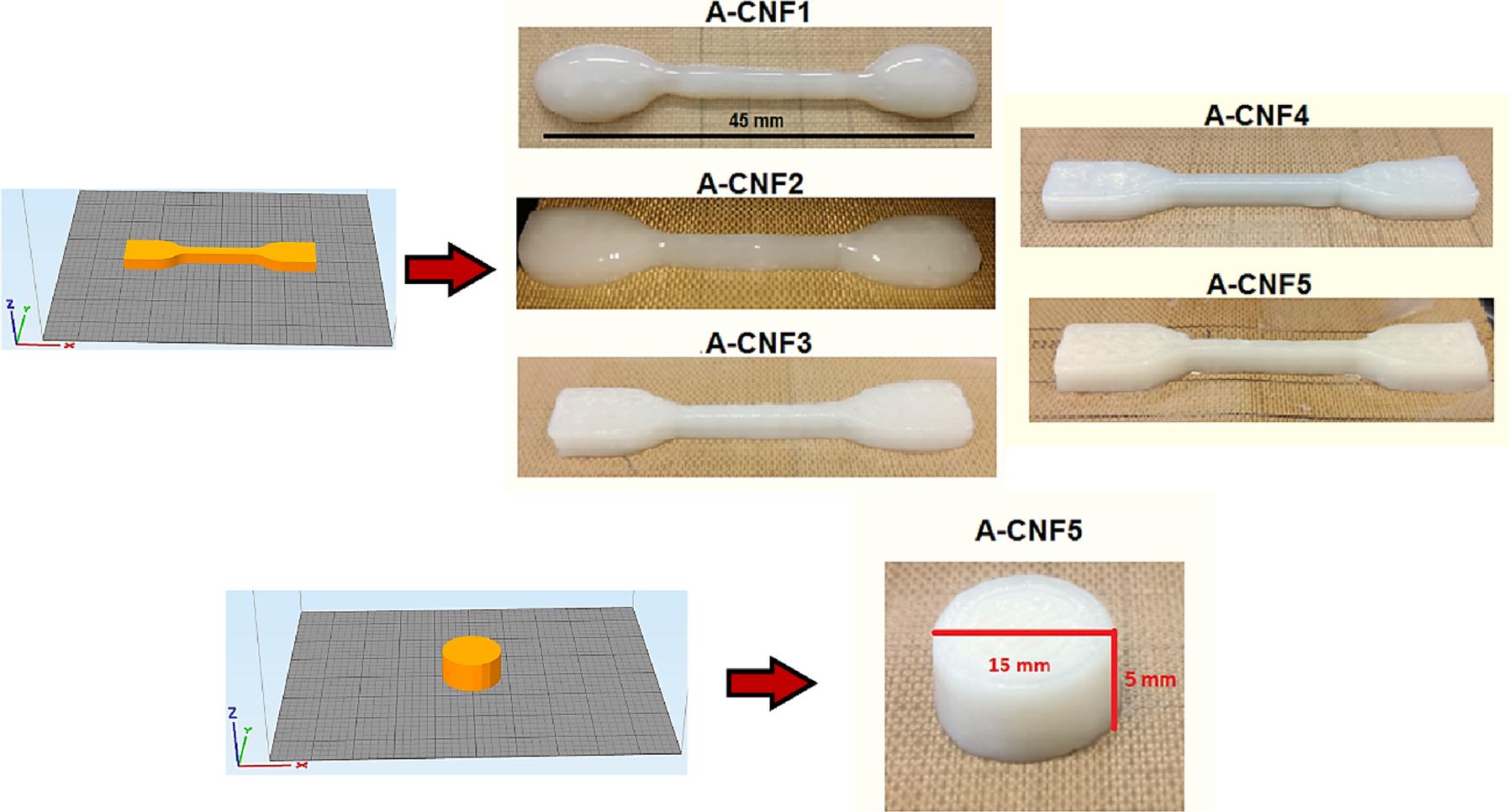 用于局部姜黄素给药的3D打印海藻酸纤维素纳米纤维贴剂