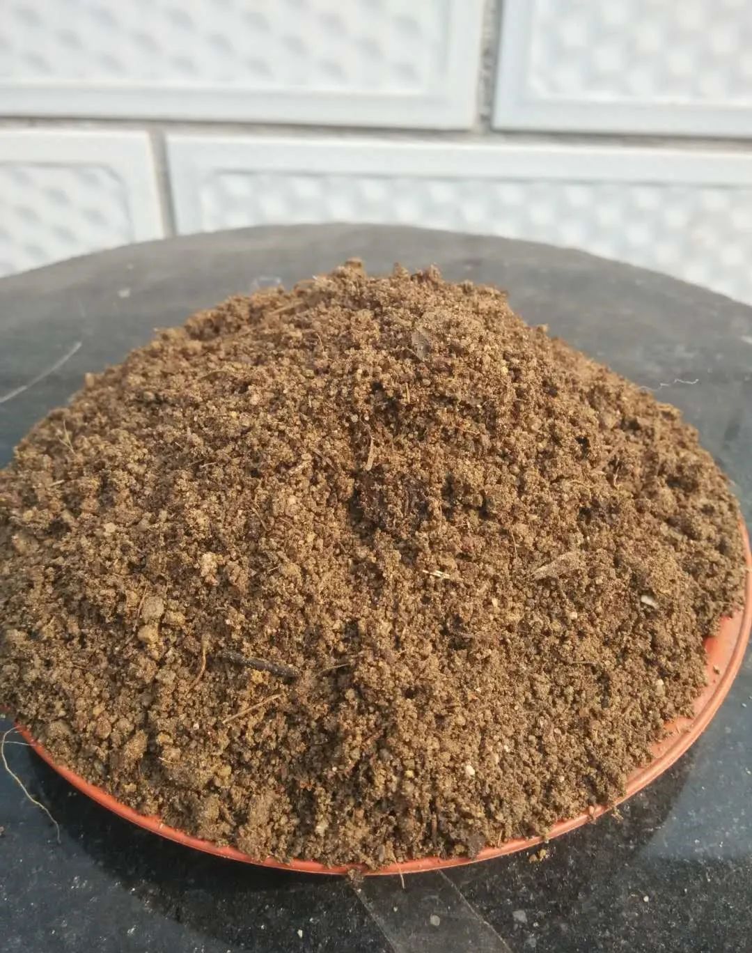 招财佛手花好不好养,佛手掌花冬天怎么养