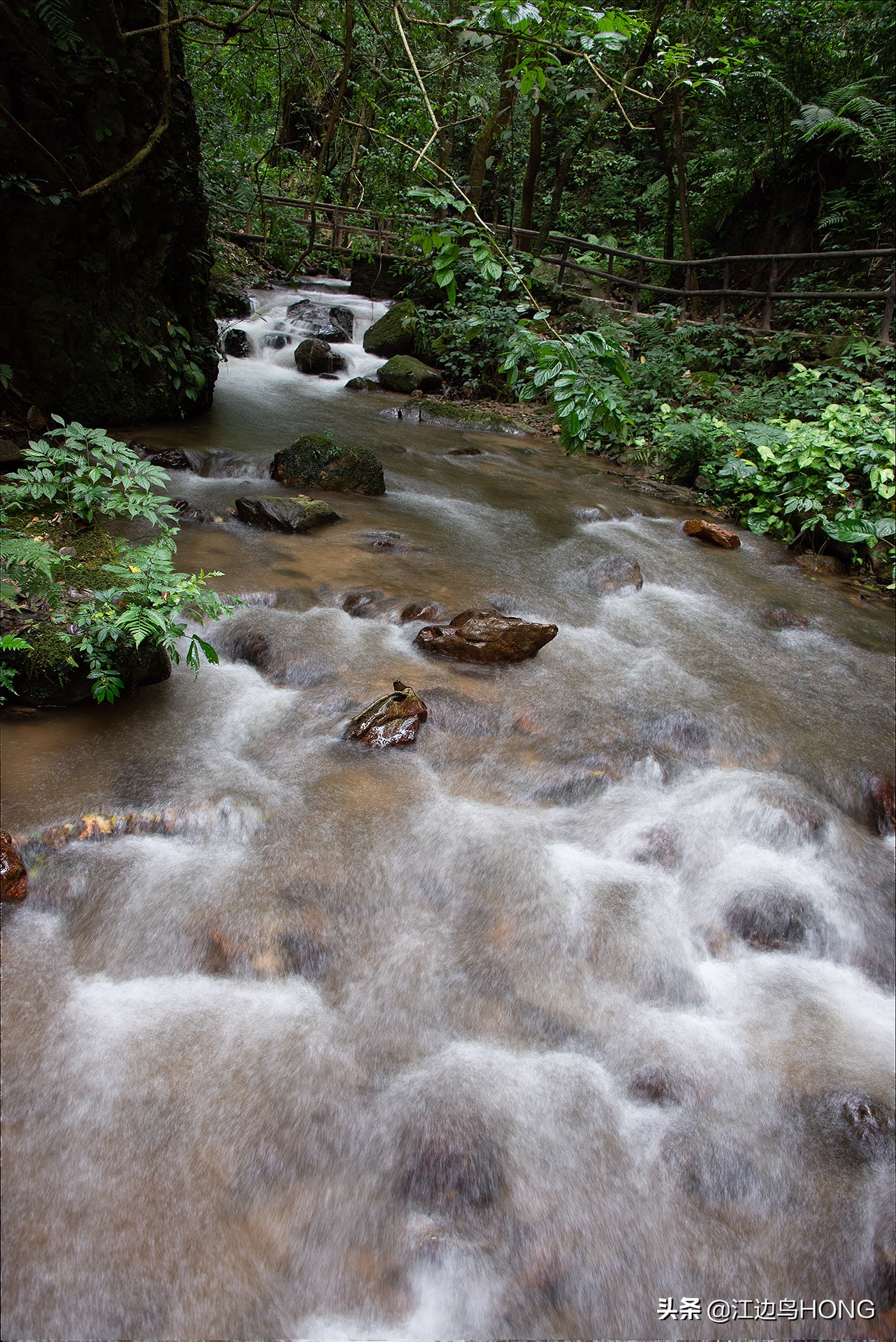 溪水潺潺心旷神怡,美景溪水潺潺