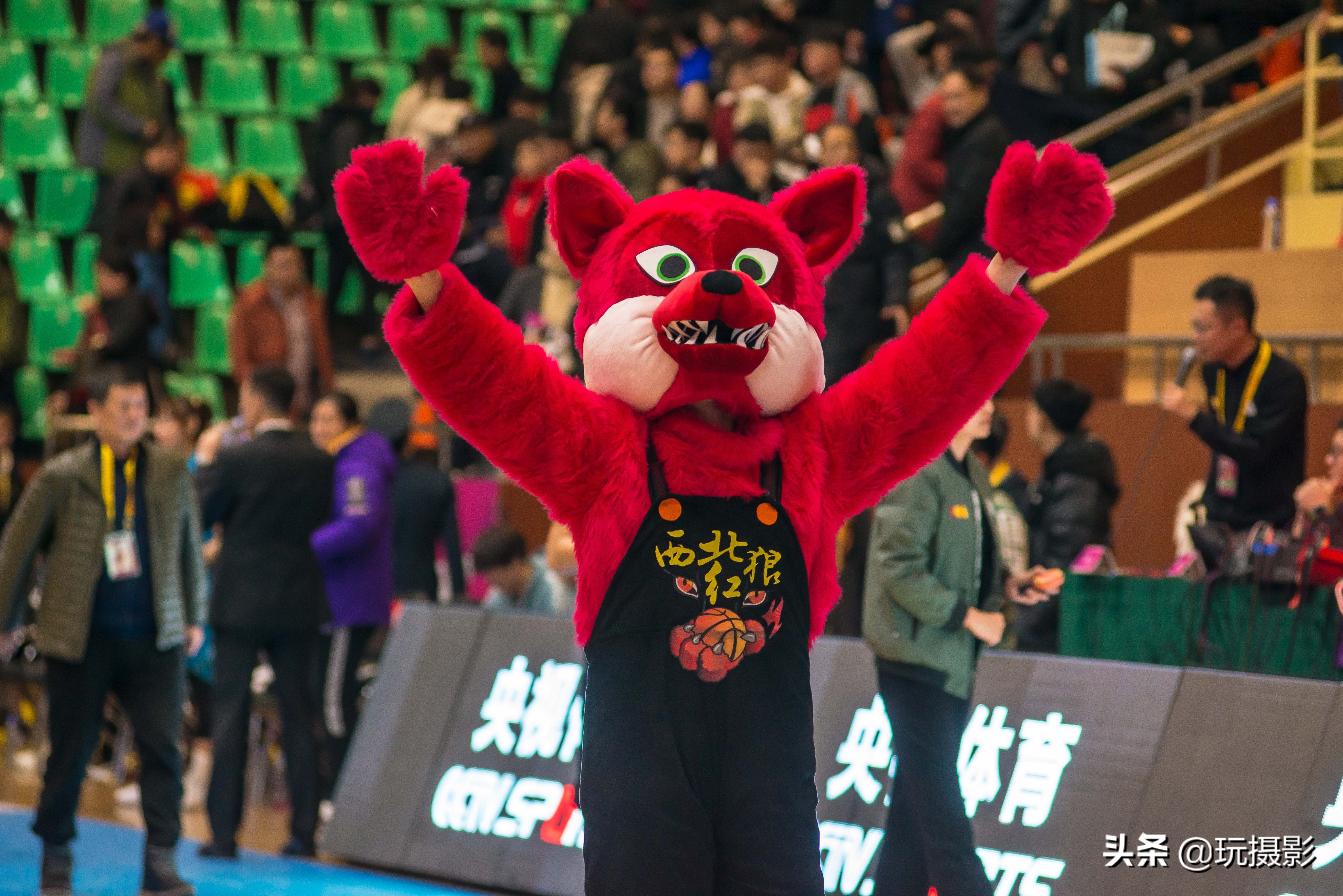 西安天泽与北京首钢比赛一场陕西体育界的盛事