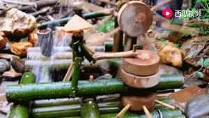 西瓜视频独家签约创作人阿木爷爷,被央视新闻联播点赞了