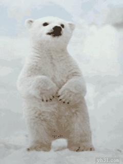 18岁身体乳保湿美白,12-18岁身体乳