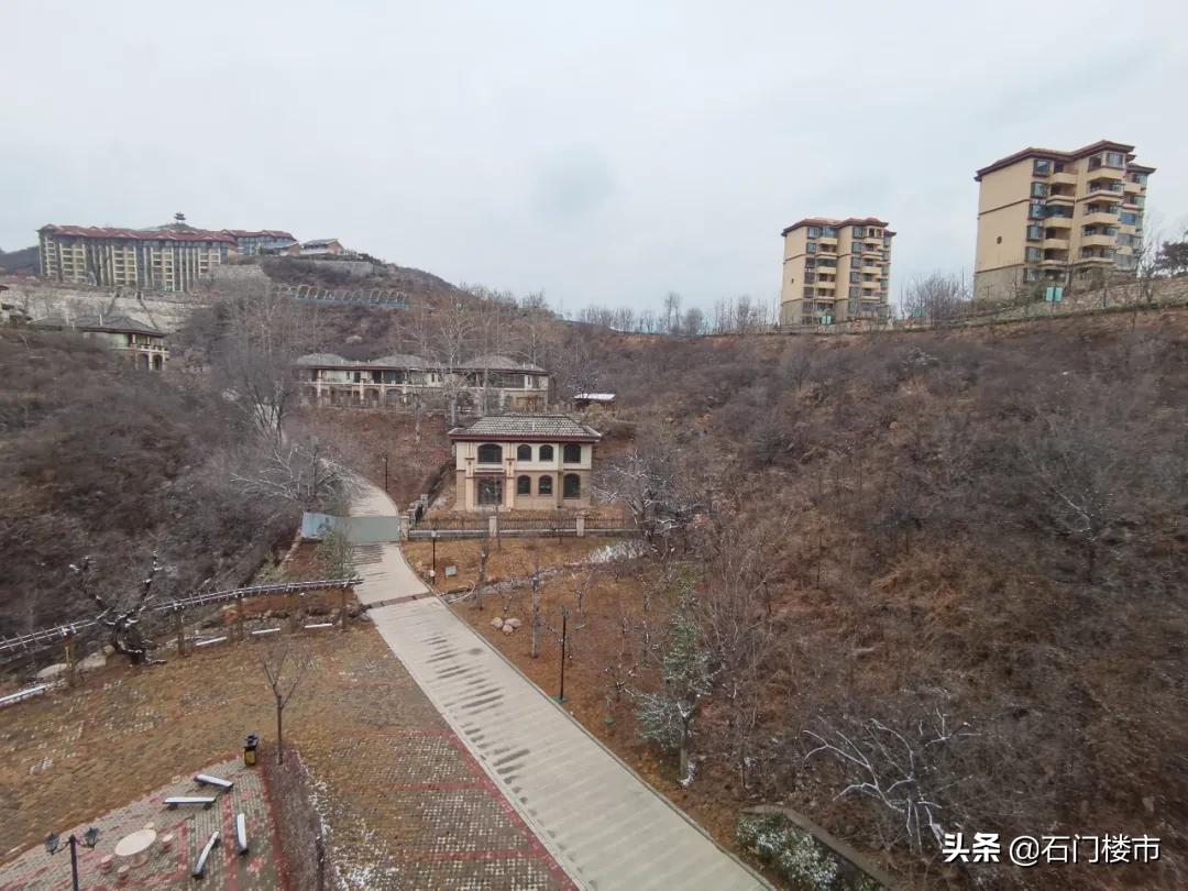 实探现场,实探日本果园