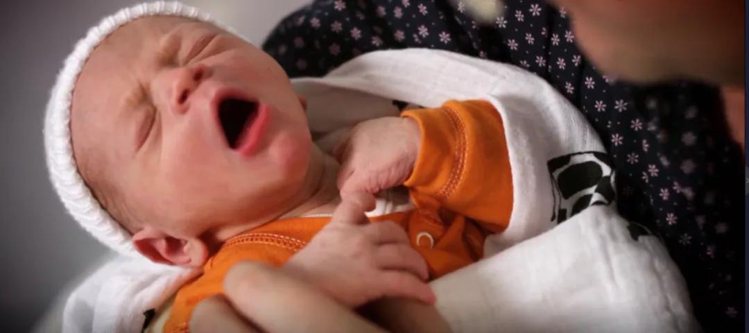 妈妈讲精子和卵子的结合,精子与卵子结合过程科教片