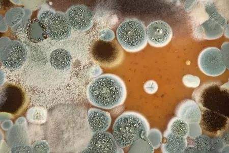 杭州梅雨季节怎么办,杭州梅雨季节防潮怎么处理