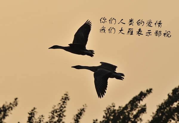 国家不幸诗家幸反映的哲理,国家不幸诗家幸赋到沧桑句便工