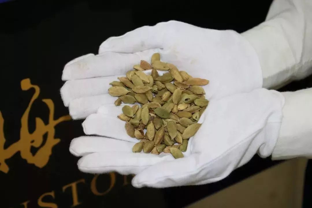 去香港要小心什么,去香港要注意哪些东西