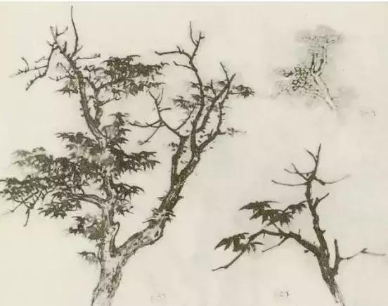缠枝、挺杆、屈节、钮裂、一棵树如何画？看了这篇你绝对能学会