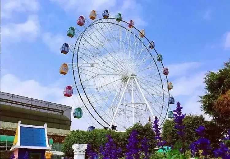 广州周边游一日游刺激,广州周边特价游