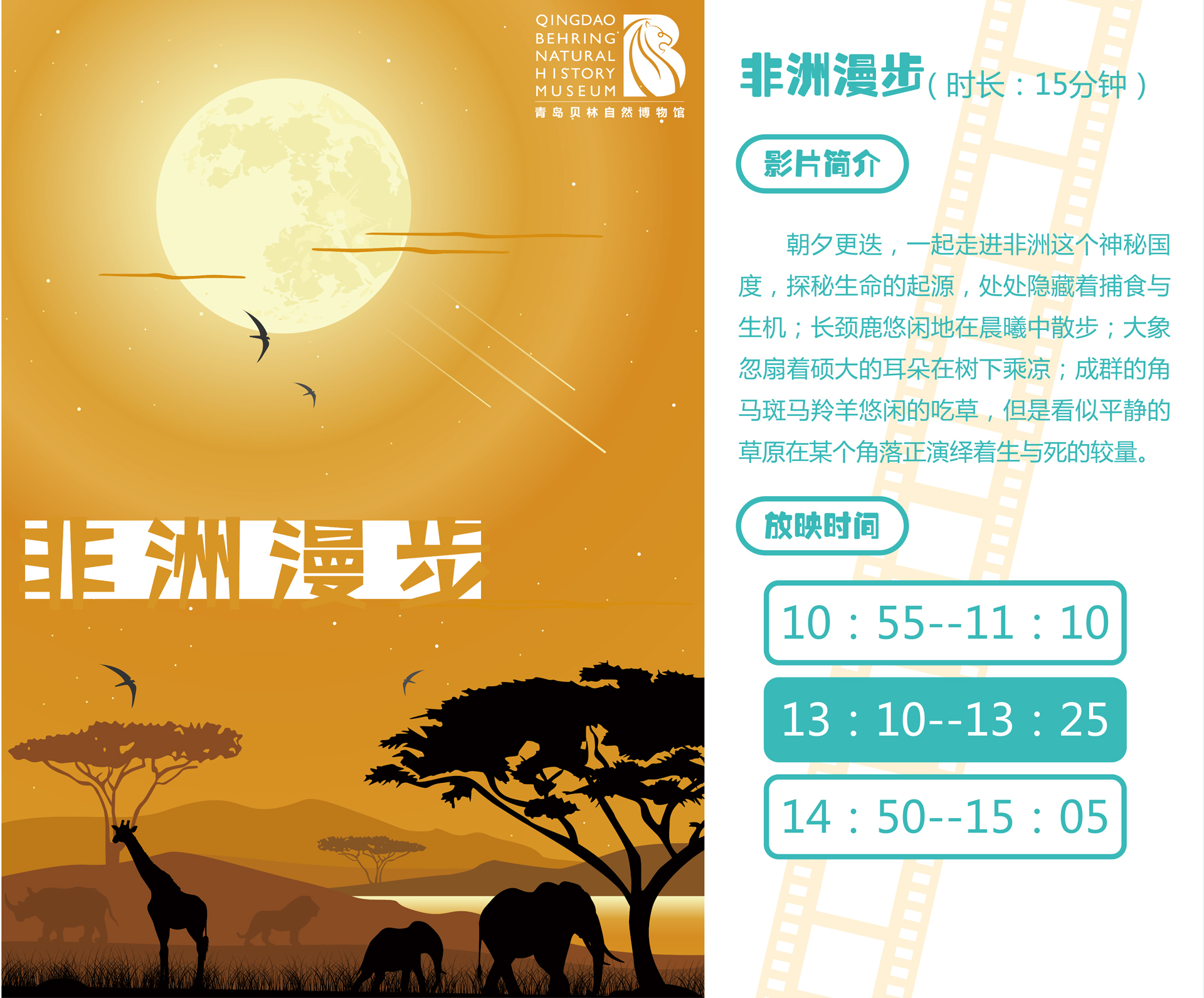 青岛贝林自然博物馆,青岛贝林博物馆门票优惠政策