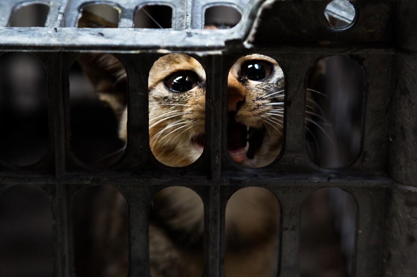 骑行中国纪录片第一集,骑行中国纪录片第一季