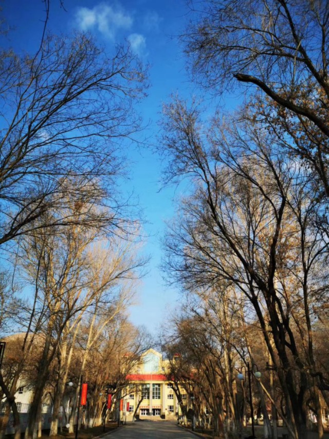 乌鲁木齐外国语学校第十二中学,乌鲁木齐金英外国语学校