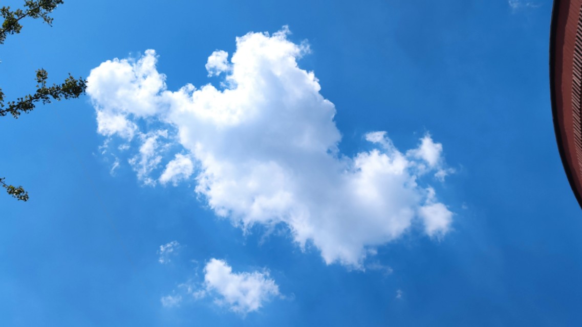 阜阳蓝让我看到了家乡的宏伟壮观的蓝图！