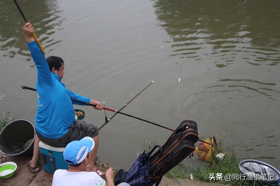 蘸料小米钓鱼,自制大米钓鲫鱼防止小杂鱼