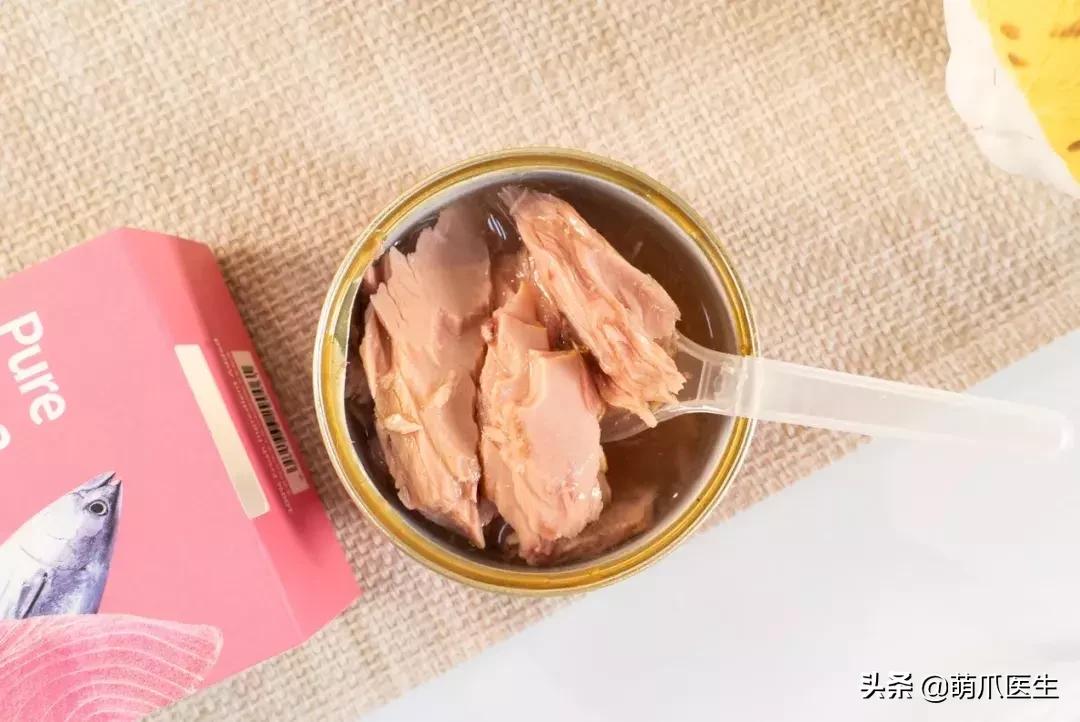 如何促使猫咪喝水,猫咪喜欢喝水吗