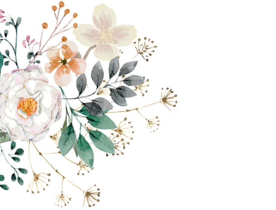 央视评论员谈乘风破浪的姐姐,主播参加乘风破浪的姐姐