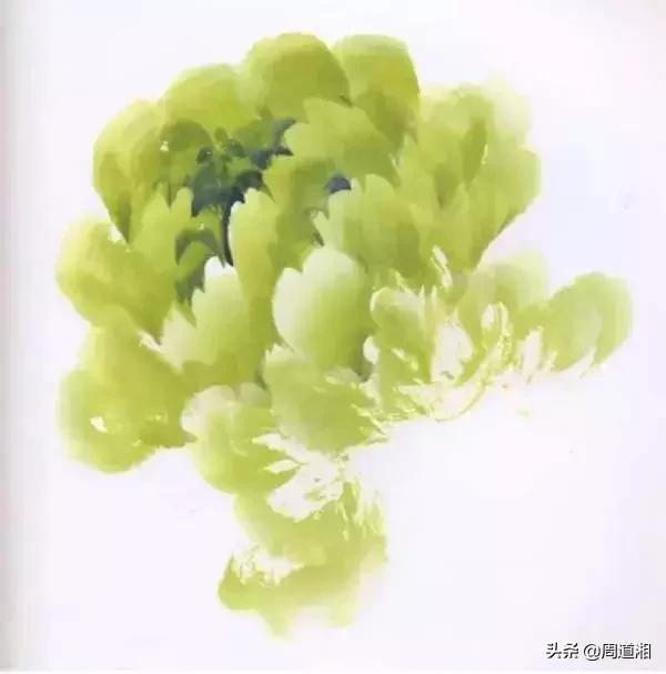 九种牡丹调色法,牡丹九大色系图片大全