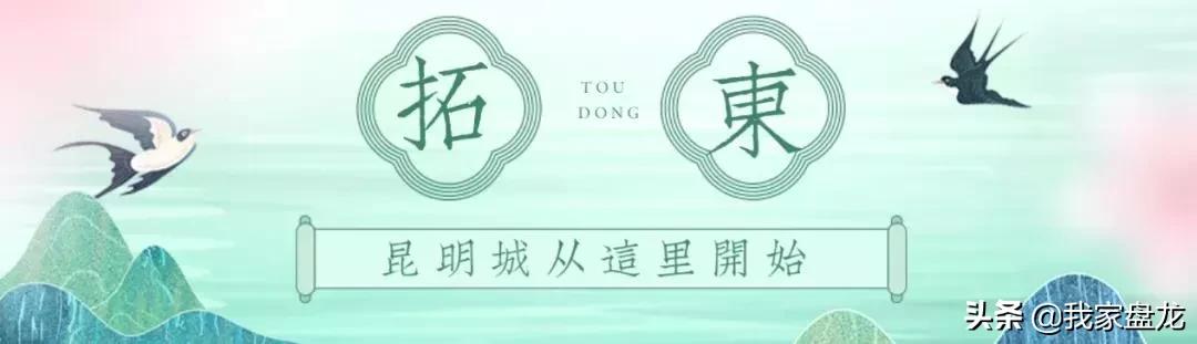 鑺冲崕姝ｈ寕鐩橀緳濡傛瓕,鑺冲崕姝ｈ寕鏈濇皵钃媰