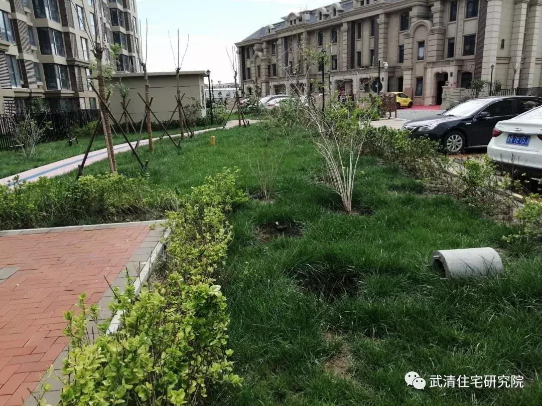 武清龙湾城居住体验,住在武清高村方便吗