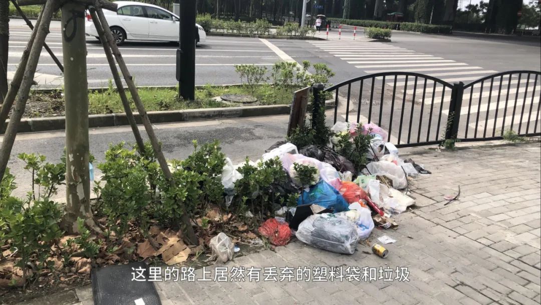 张江长三角科技城属于上海吗,上海张江科学城